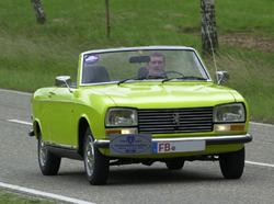 Peugeot 304: 1 фото
